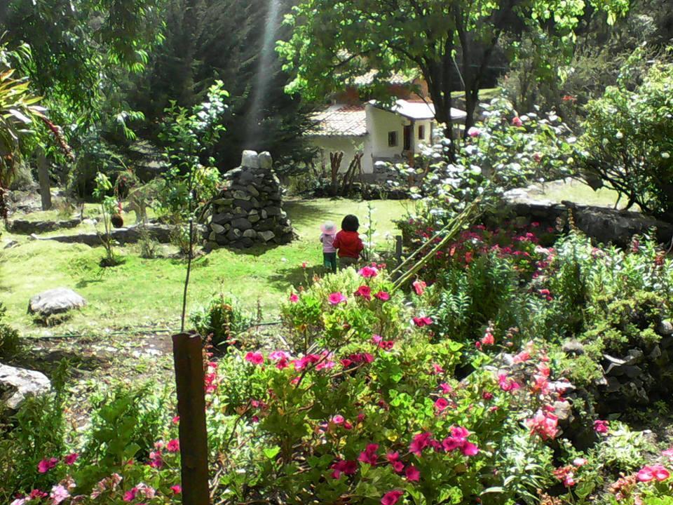 Hospedaje Illariy Yanama Exterior photo